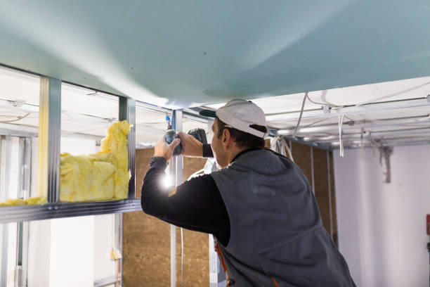 Types of Insulation We Offer in Edgewood, TX