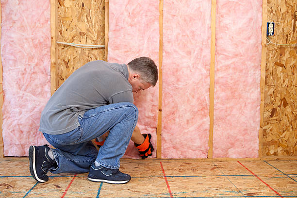 Best Insulation Maintenance and Repair in Edgewood, TX