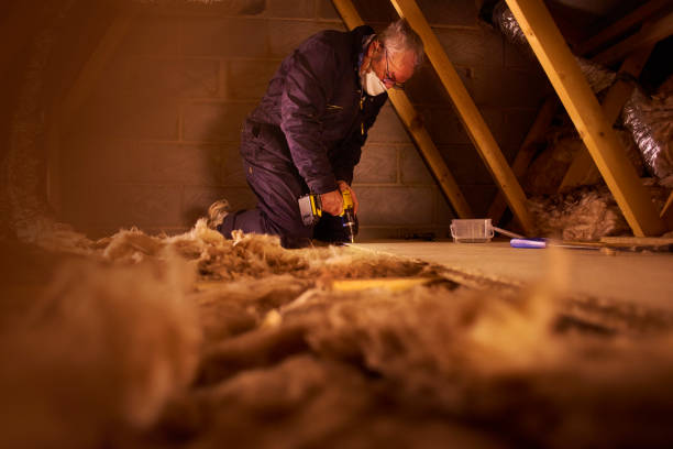 Best Eco-Friendly Insulation in Edgewood, TX